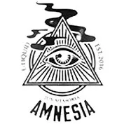 Amnesia